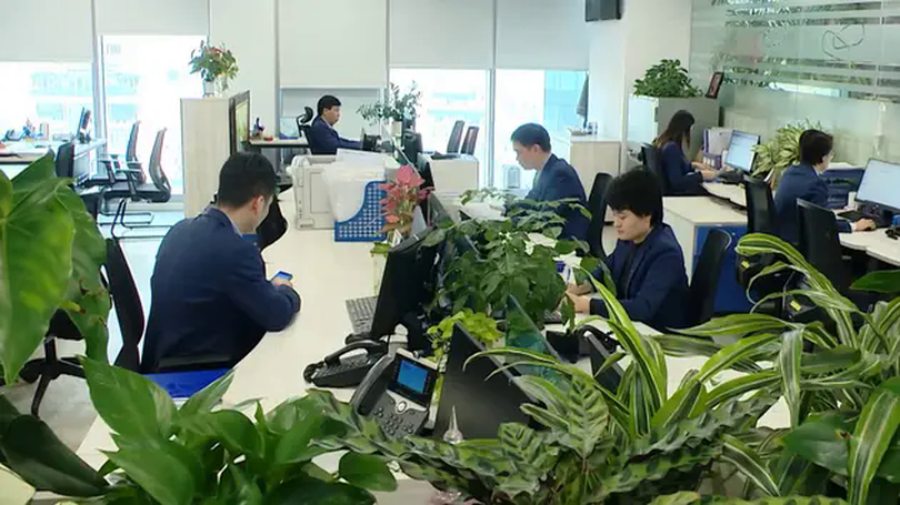 Áp dụng tiêu chuẩn ESG, hướng đi phát triển bền vững | Chuyển đổi xanh | 22/02/2025