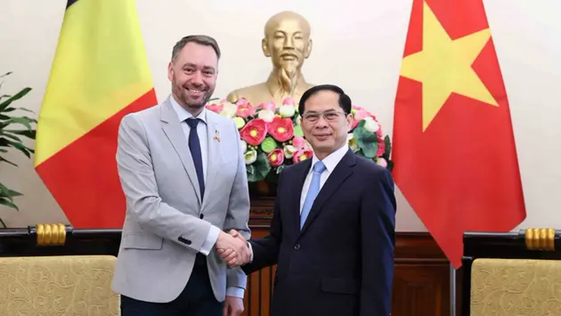 Tăng cường hợp tác hơn nữa Việt Nam - Bỉ