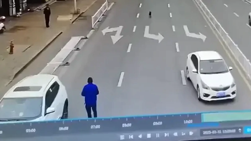 Chú chó 'cướp lái' ô tô đâm vào rào chắn