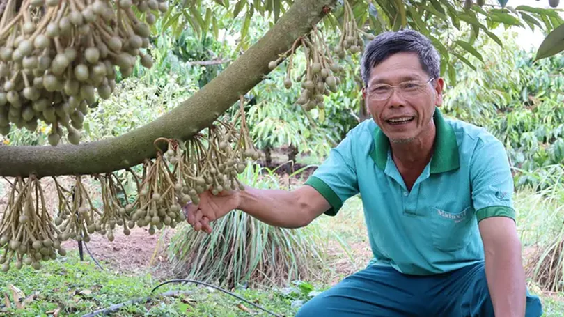 Phát huy vai trò người cao tuổi làm kinh tế giỏi