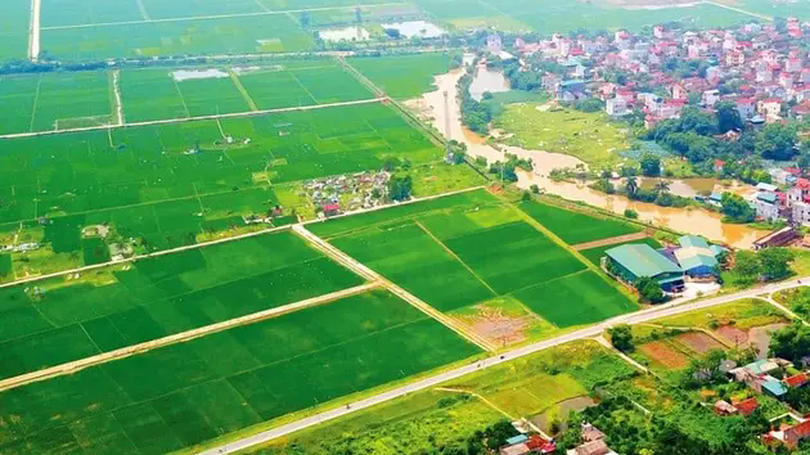 Xem xét tính giá đất dịch vụ bằng 20-40% giá đất ở