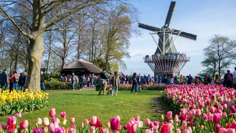Vườn hoa Keukenhof, Hà Lan rực rỡ đón du khách