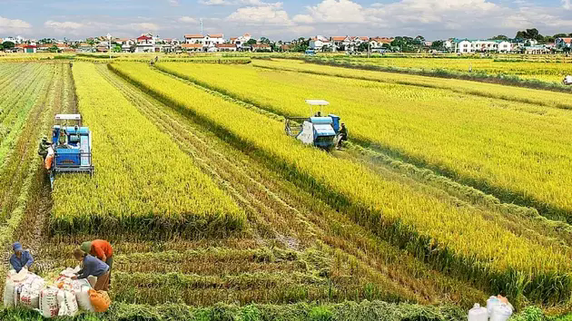 Miễn thuế sử dụng đất nông nghiệp đến năm 2030