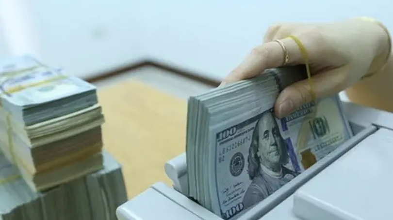 USD tăng giá, xuất khẩu mừng, nhập khẩu lo