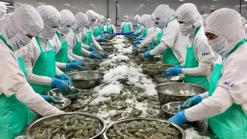 Triển khai gói tín dụng 100.000 tỷ đồng cho nông, lâm, thủy sản