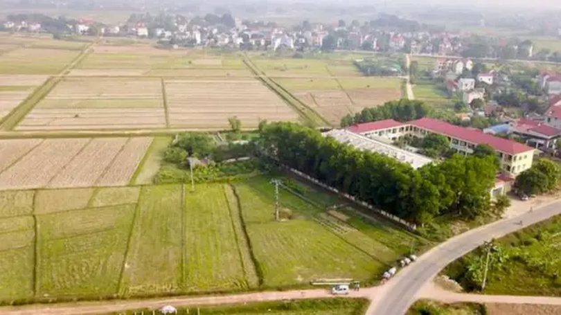 Phúc Thọ sắp đấu giá 102 nghìn m² đất nông nghiệp công ích