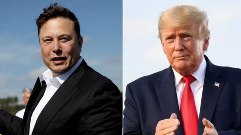 Elon Musk cắt giảm vai trò trong Chính phủ Mỹ