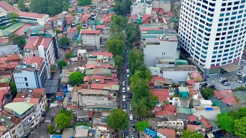 Hà Nội lên phương án di dời 357 cây xanh