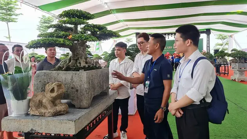 Ngành hoa cây cảnh đạt giá trị trên 45 nghìn tỷ đồng/năm