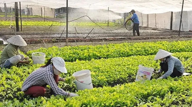 35 tỷ đồng hỗ trợ xử lý môi trường trong trồng trọt