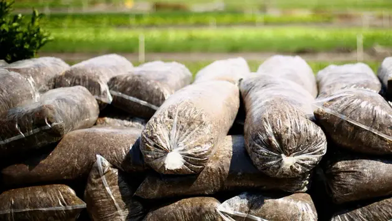 EU tăng thuế phân bón và nông sản từ Nga và Belearus