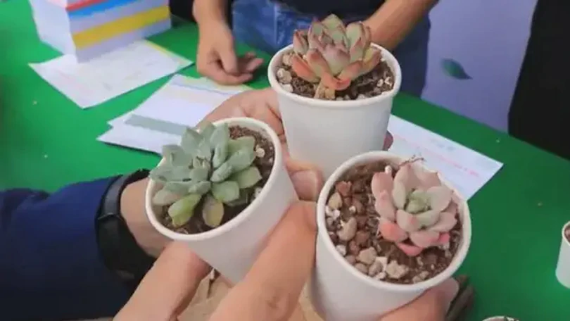 'Đổi sách lấy cây' để ươm mầm cho tương lai