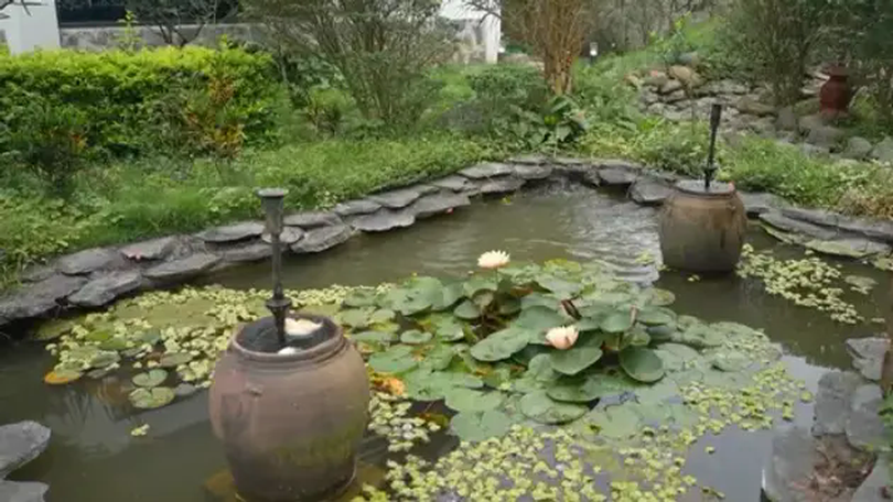 Đắp đất, làm đồi cho vườn để 'được sống theo sở thích' | Vườn đô thị | 25/05/2025