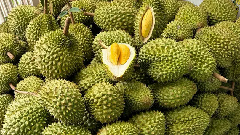 Thủ tướng yêu cầu ưu tiên thông quan nông sản tươi