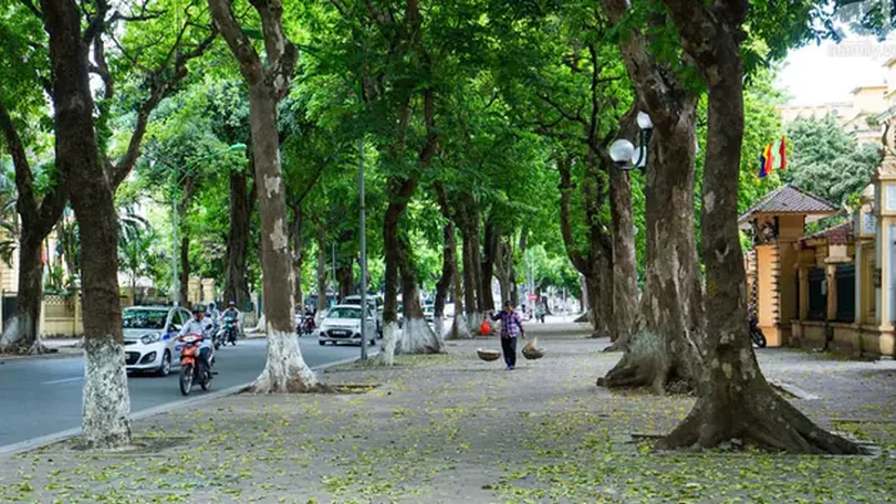 Thời tiết 5/6: Hà Nội ngày nắng, tối có mưa vài nơi