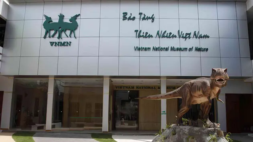 Nơi thiên nhiên kể chuyện | Hà Nội đến để yêu | 06/06/2025