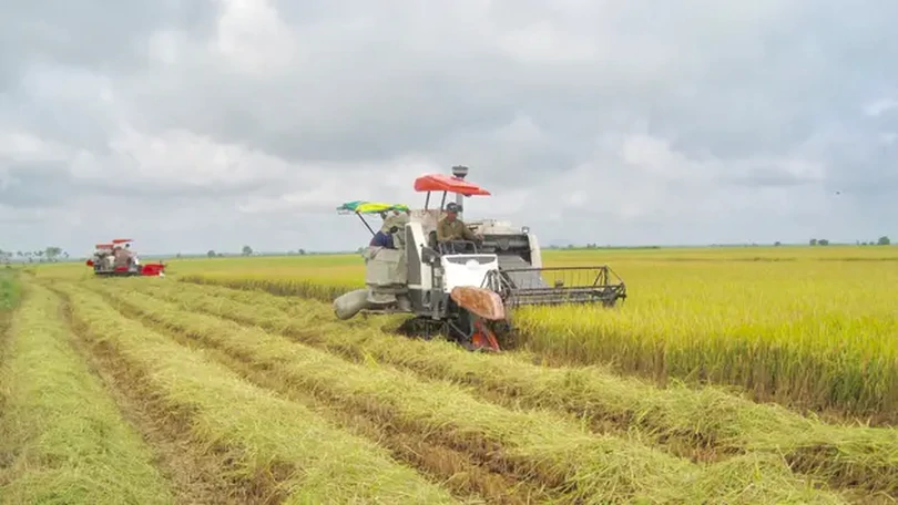 Hà Nội hoàn thành nhiệm vụ xây dựng nông thôn mới