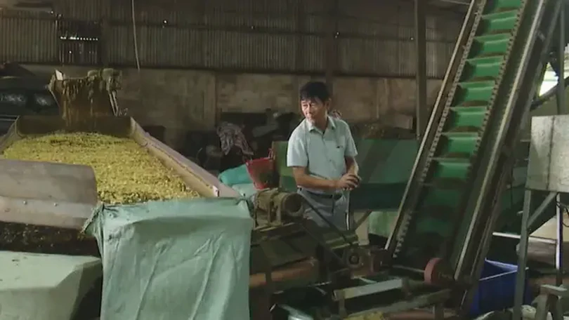 Hơn 16.000 người cao tuổi Hà Nội làm kinh tế giỏi