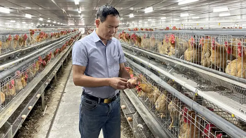 Ông Hoàng Mạnh Ngọc, một nông dân tiêu biểu của Thủ đô | Con đường doanh nhân | 15/06/2025