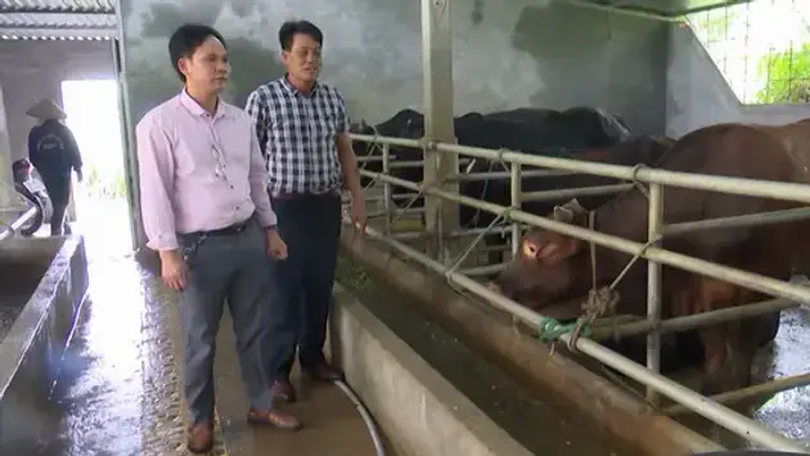 Chuyển đổi xanh trong chăn nuôi | Chuyển đổi xanh | 10/06/2025