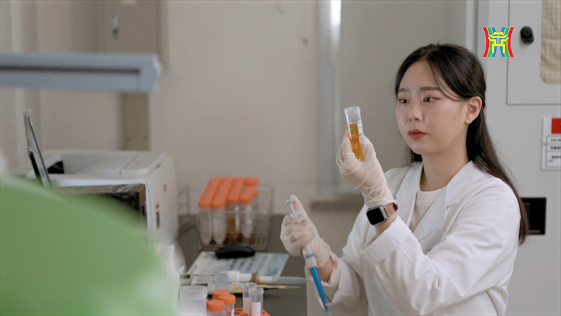 K Campus Dream: Cầu nối văn hóa quốc tế tại Gwangju