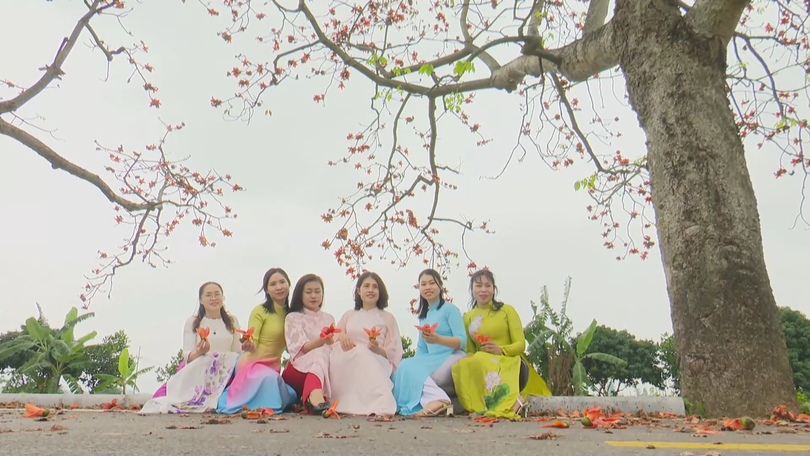 Sắc đỏ hoa gạo tháng Ba