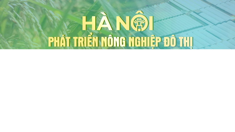 Phát triển nông nghiệp đô thị - Thay đổi tư duy trong kỷ nguyên mới