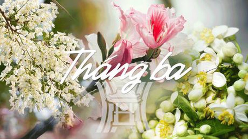 Hương sắc hoa tháng Ba Hà Nội