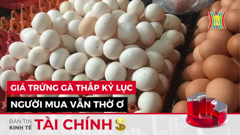 Bản tin Kinh tế Tài chính | 01/03/2025
