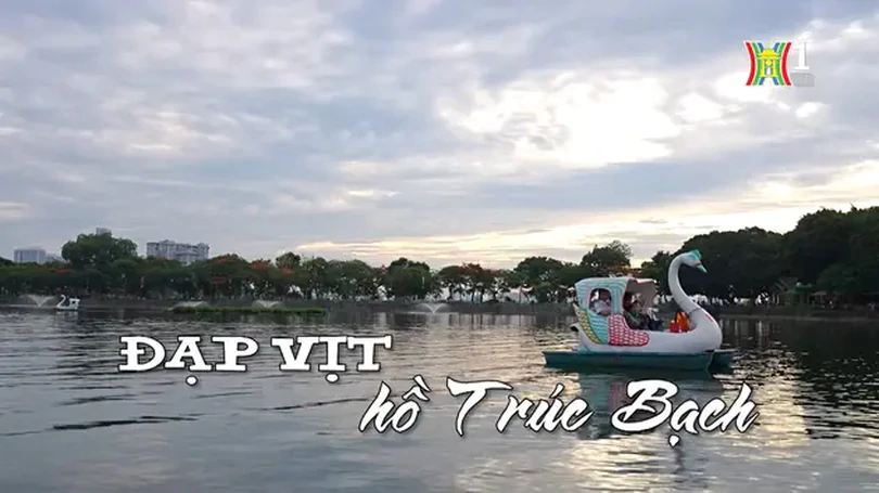 Đạp vịt hồ Trúc Bạch | Nhịp sống Hà Nội | 01/06/2024