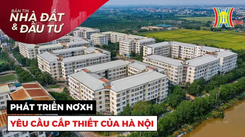 Bản tin Nhà đất và đầu tư | 01/12/2024