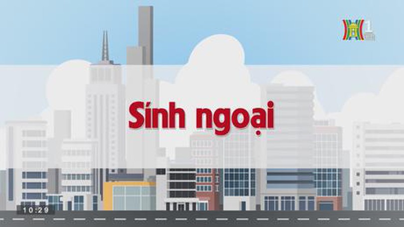 Sính ngoại | Chuyện quanh ta| tập 121| 02/09/2023