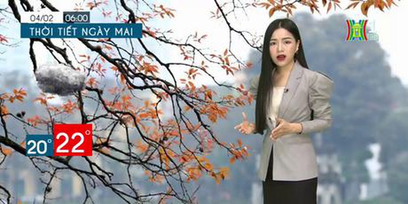Dự báo thời tiết ngày 04/02/2023
