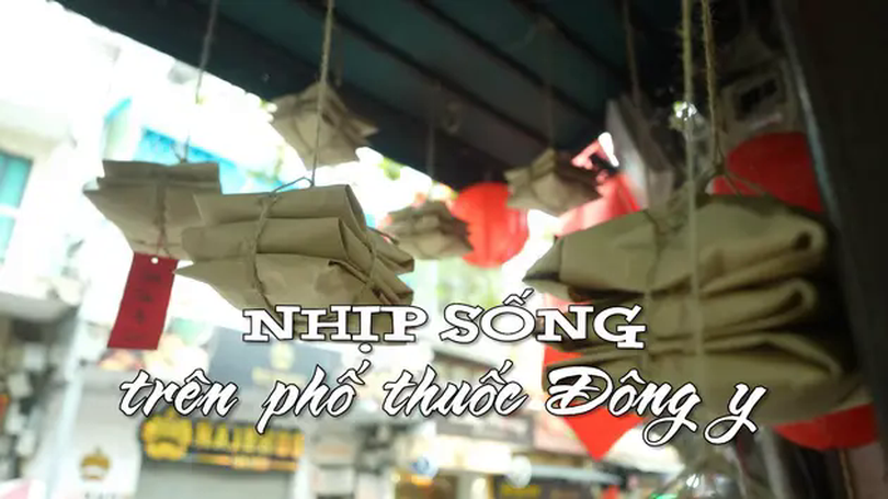 Nhịp sống trên phố thuốc Đông y | Nhịp sống Hà Nội | 03/03/2025