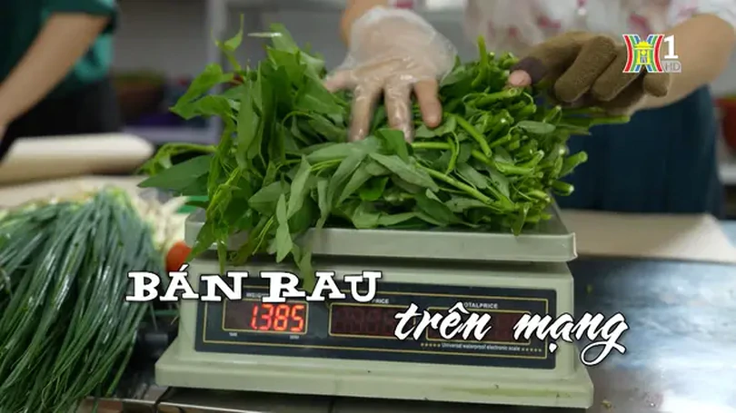 Bán rau trên mạng | Nhịp sống Hà Nội | 03/05/2024