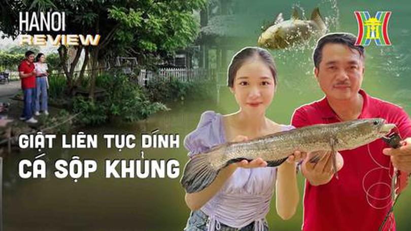 Trải nghiệm câu cá chuyên nghiệp | HANOI Reviews | 03/09/2023