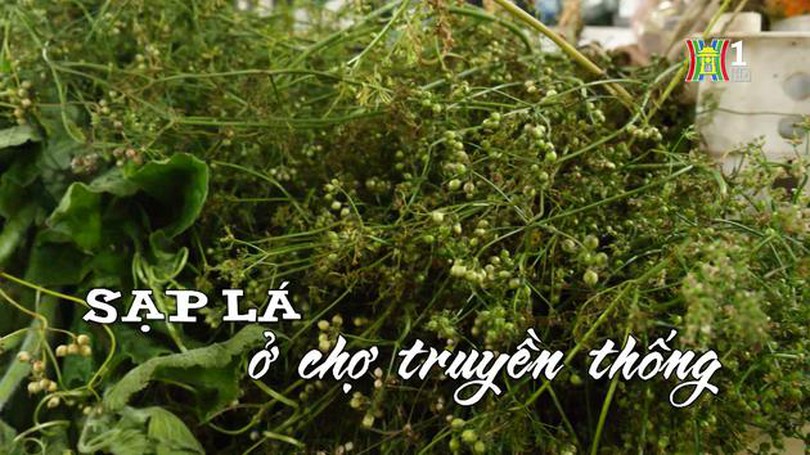 Sạp lá ở chợ truyền thống| Nhịp sống Hà Nội| 4/4/2024