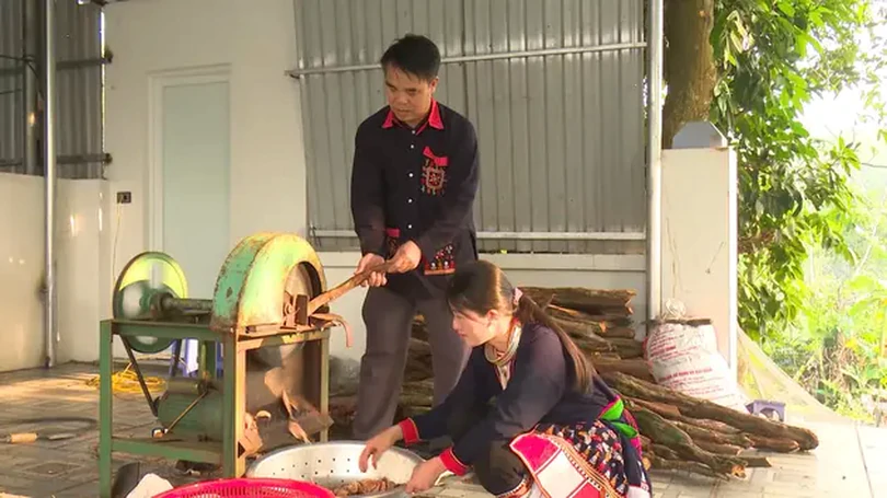 Thu nhập đồng bào dân tộc huyện Ba Vì tăng 20%