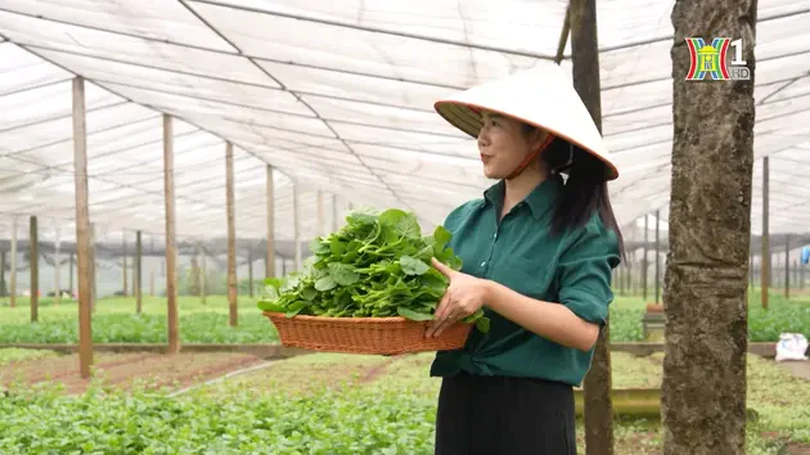 Xu hướng kinh doanh nông sản sạch online