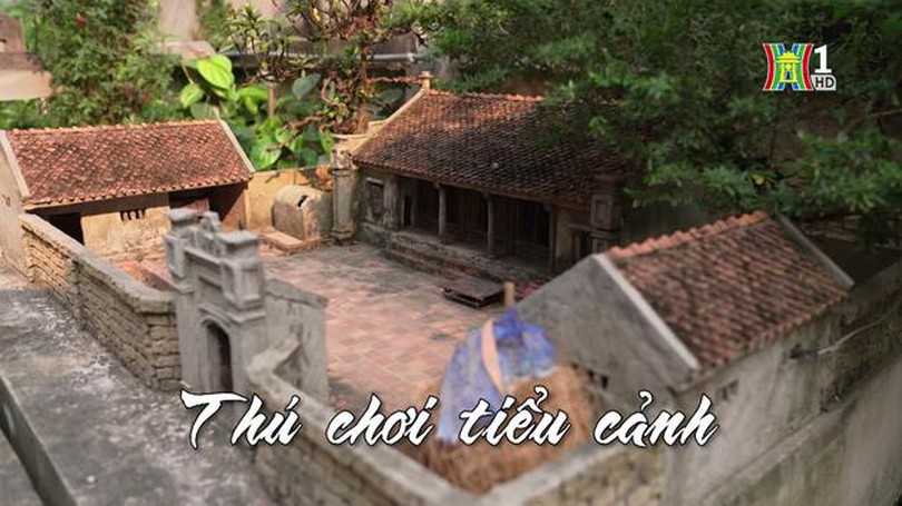 Thú chơi tiểu cảnh! Nhịp sống Hà Nội| 5/4/2024