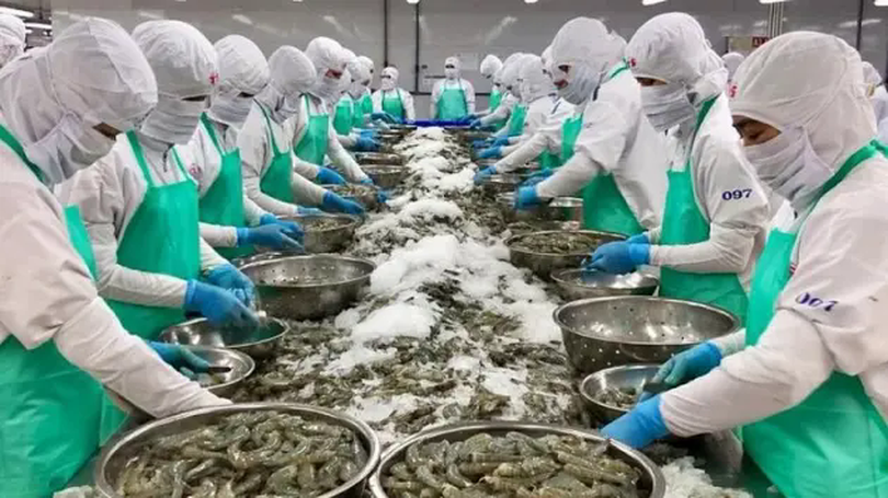 VASEP đề xuất giảm thuế nhập khẩu thủy sản Mỹ về 0%
