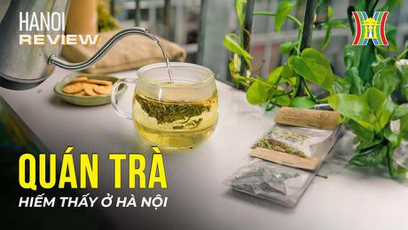 Quán trà hiếm thấy ở Hà Nội| HANOI Review| 05/10/2023