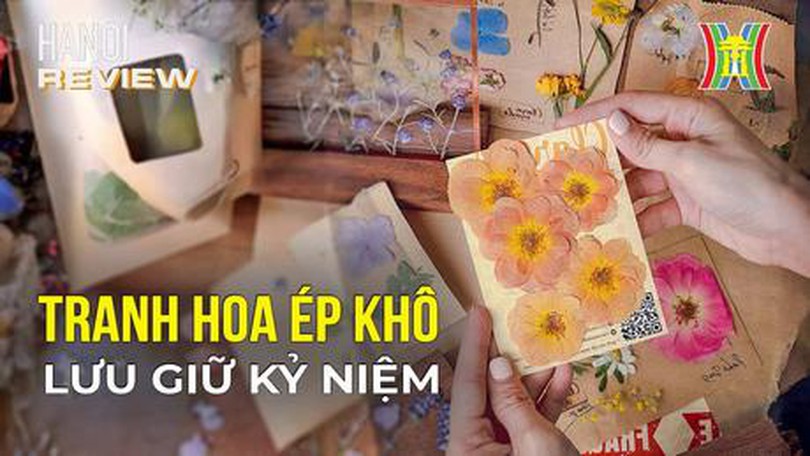 Tranh hoa ép khô lưu giữ kỷ niệm| Hanoi Review| 4/11/2023