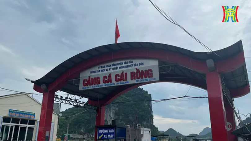 Công tác ứng phó bão Yagi tại tỉnh tâm bão Quảng Ninh