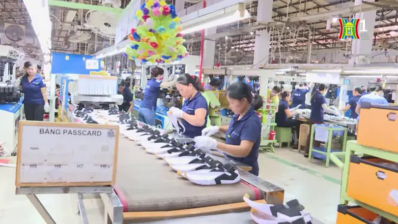 52.800 doanh nghiệp ngừng kinh doanh trong tháng 1/2025