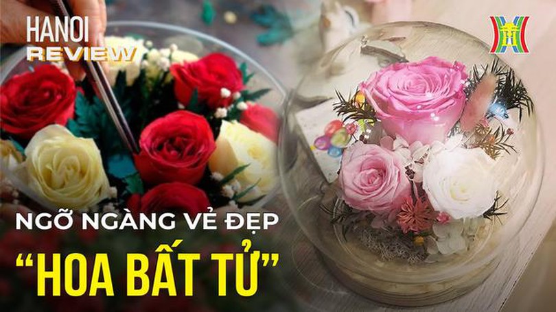 Ngỡ ngàng vẻ đẹp những bông hoa trở nên 'bất tử' | Hà Nội Reviews | 07/03/2024