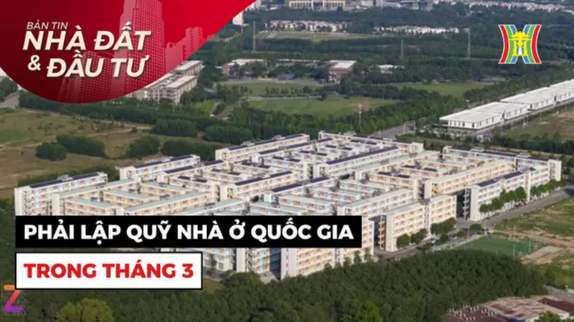 Bản tin Nhà đất và đầu tư | 07/03/2025