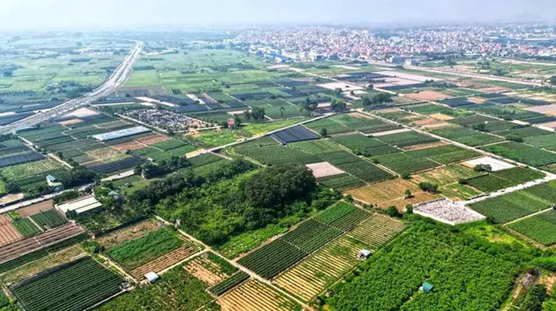 Hưng Yên: Đấu giá đất cao nhất 158 triệu đồng/m²