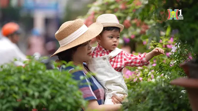 Cuối tuần đi chợ cây cảnh