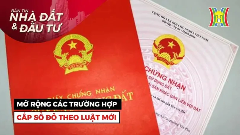 Bản tin Nhà đất và đầu tư | 07/07/2024